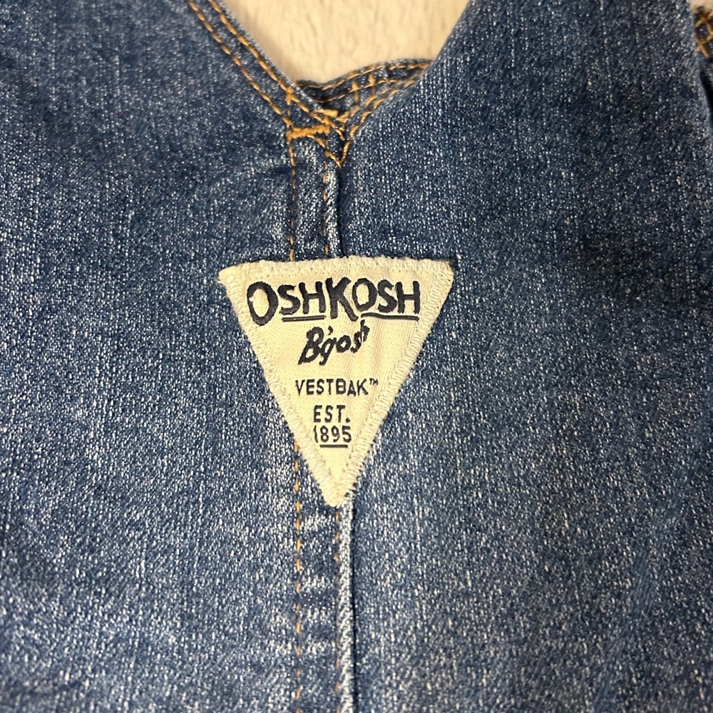 Lot of 2 Old Navy / OshKosh B'gosh Dresses - Picture 9 of 10